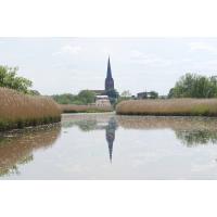 11150_7471 Kirchturm der St. Petrikirche von Buxtehude. | 